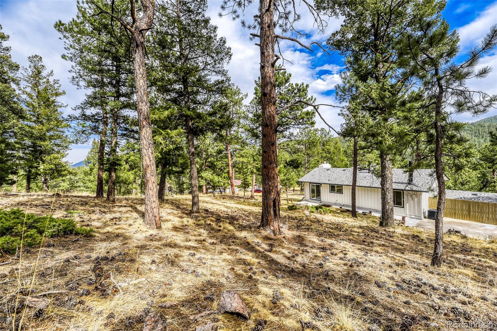 30171 Marge Lane Evergreen CO 80439