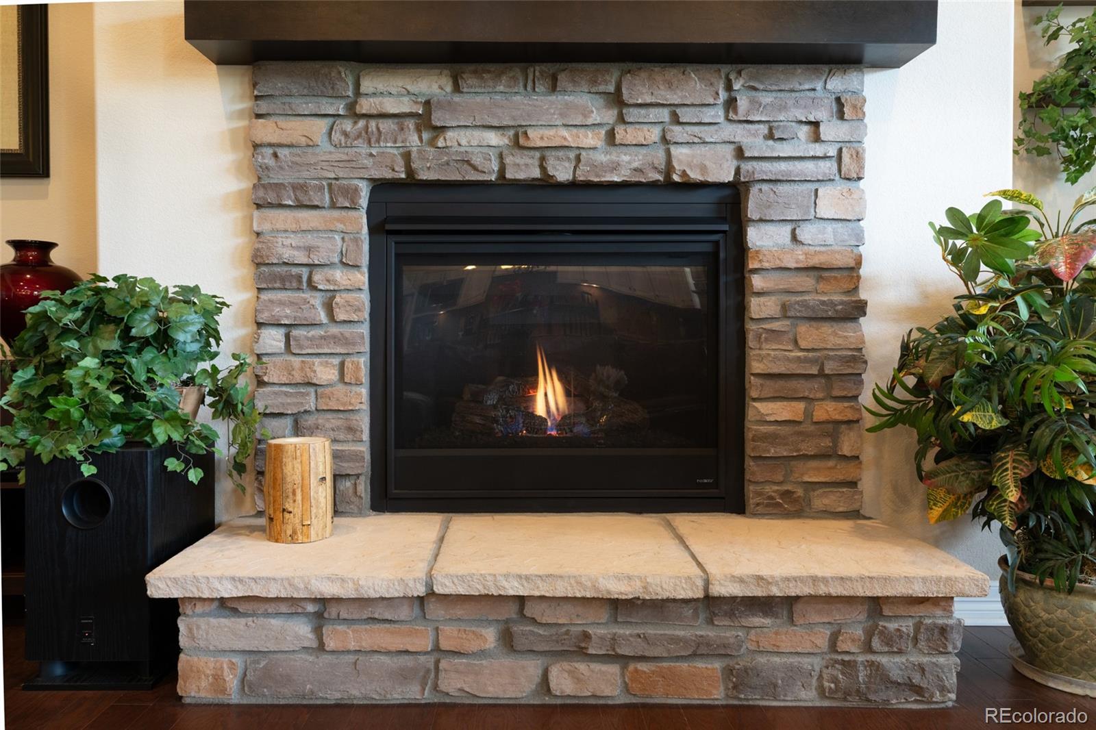 15828 Esprit Run Broomfield CO 80023