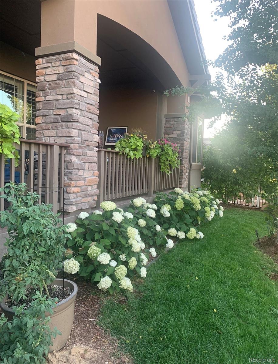15828 Esprit Run Broomfield CO 80023