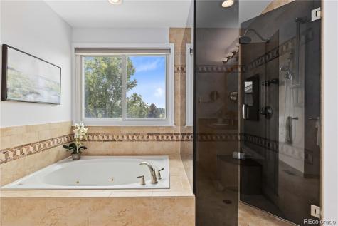 8642 Canongate Lane Highlands Ranch CO 80130