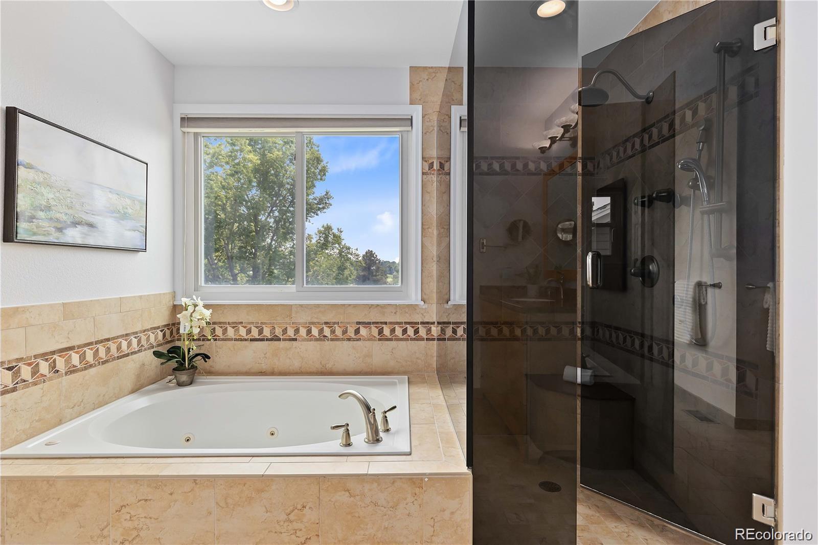 8642 Canongate Lane Highlands Ranch CO 80130