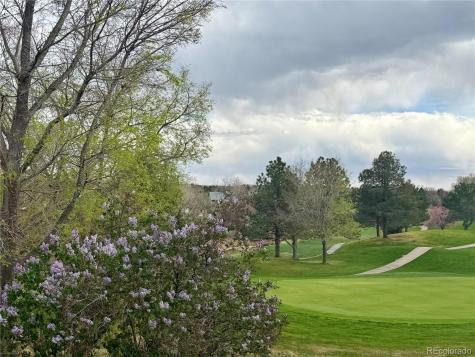 8642 Canongate Lane Highlands Ranch CO 80130