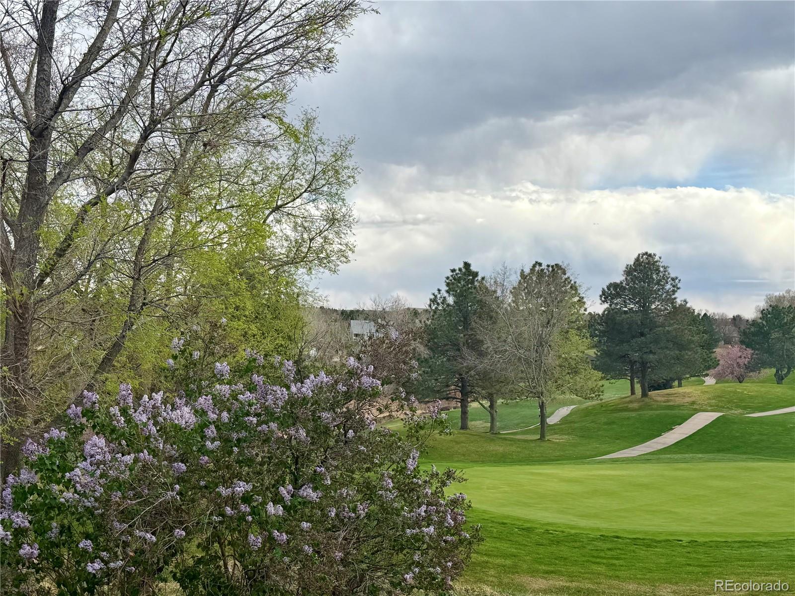 8642 Canongate Lane Highlands Ranch CO 80130