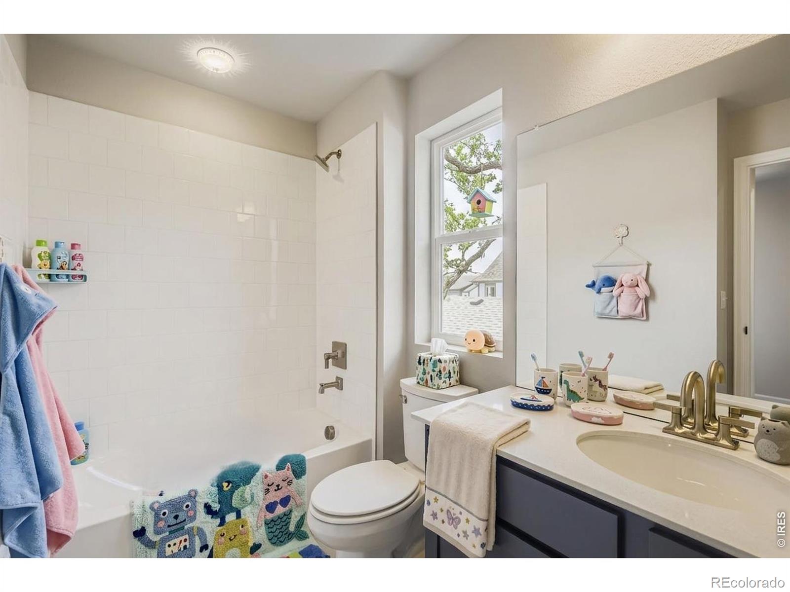 2442 Heyworth Lane Fort Collins CO 80524