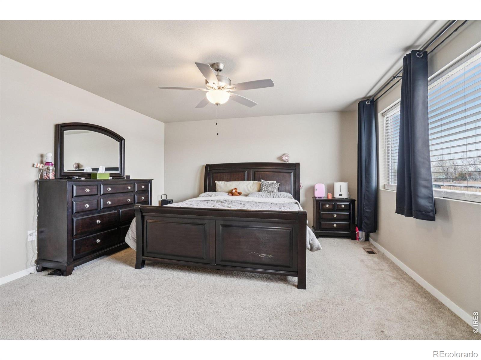 3774 Beech Tree Street Wellington CO 80549