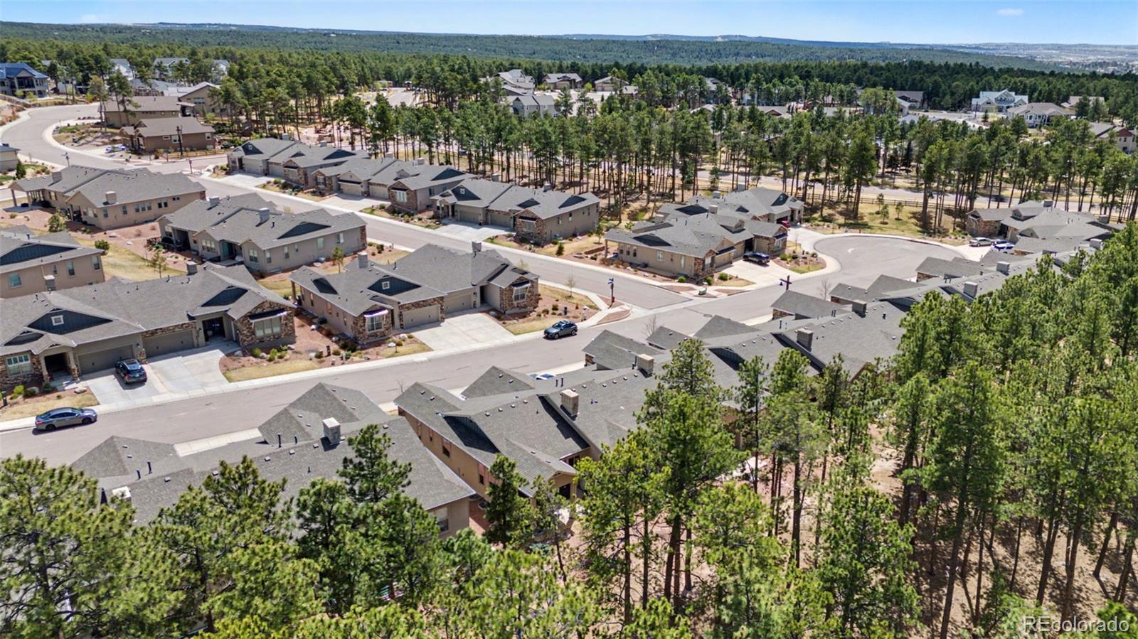 16464 Woodward Terrace Monument CO 80132