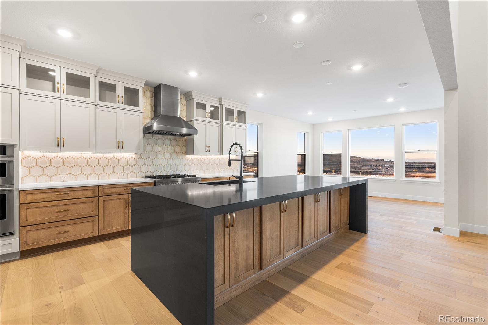 11283 Tenor Trail Lone Tree CO 80134