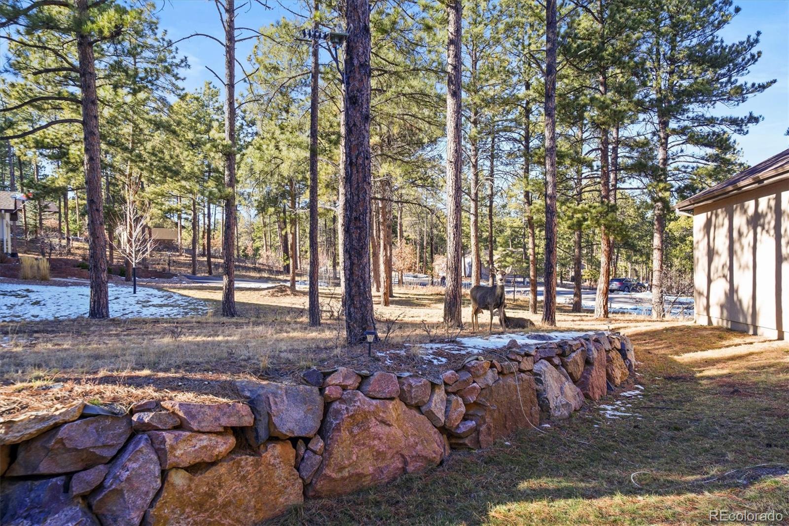 1240 Kenosha Drive Larkspur CO 80118