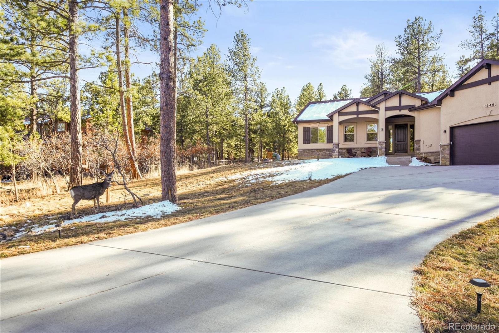 1240 Kenosha Drive Larkspur CO 80118