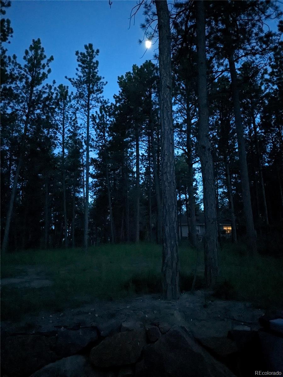 1240 Kenosha Drive Larkspur CO 80118
