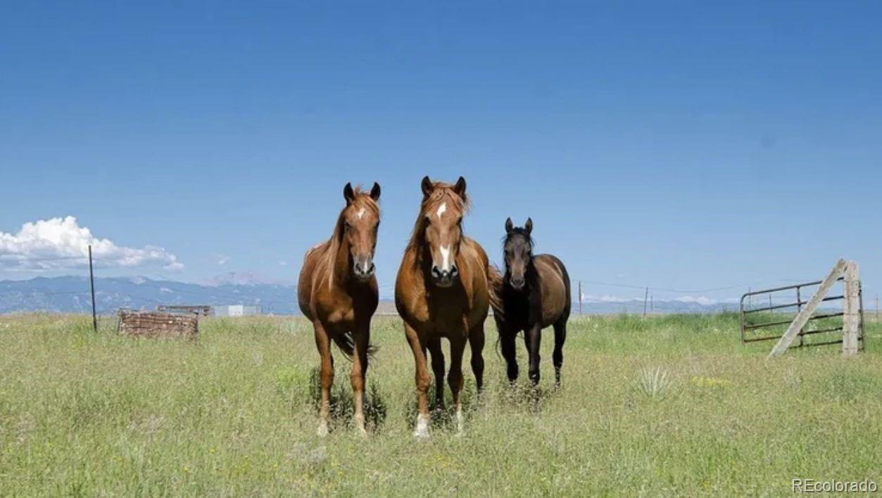 10025 Milne Road Colorado Springs CO 80928