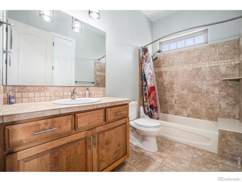 4609 Freehold Drive Windsor CO 80550