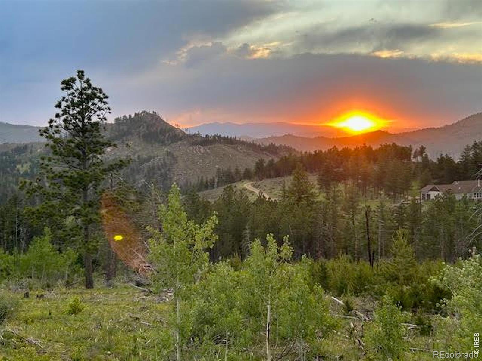 892 Stratton Park Road Bellvue CO 80512