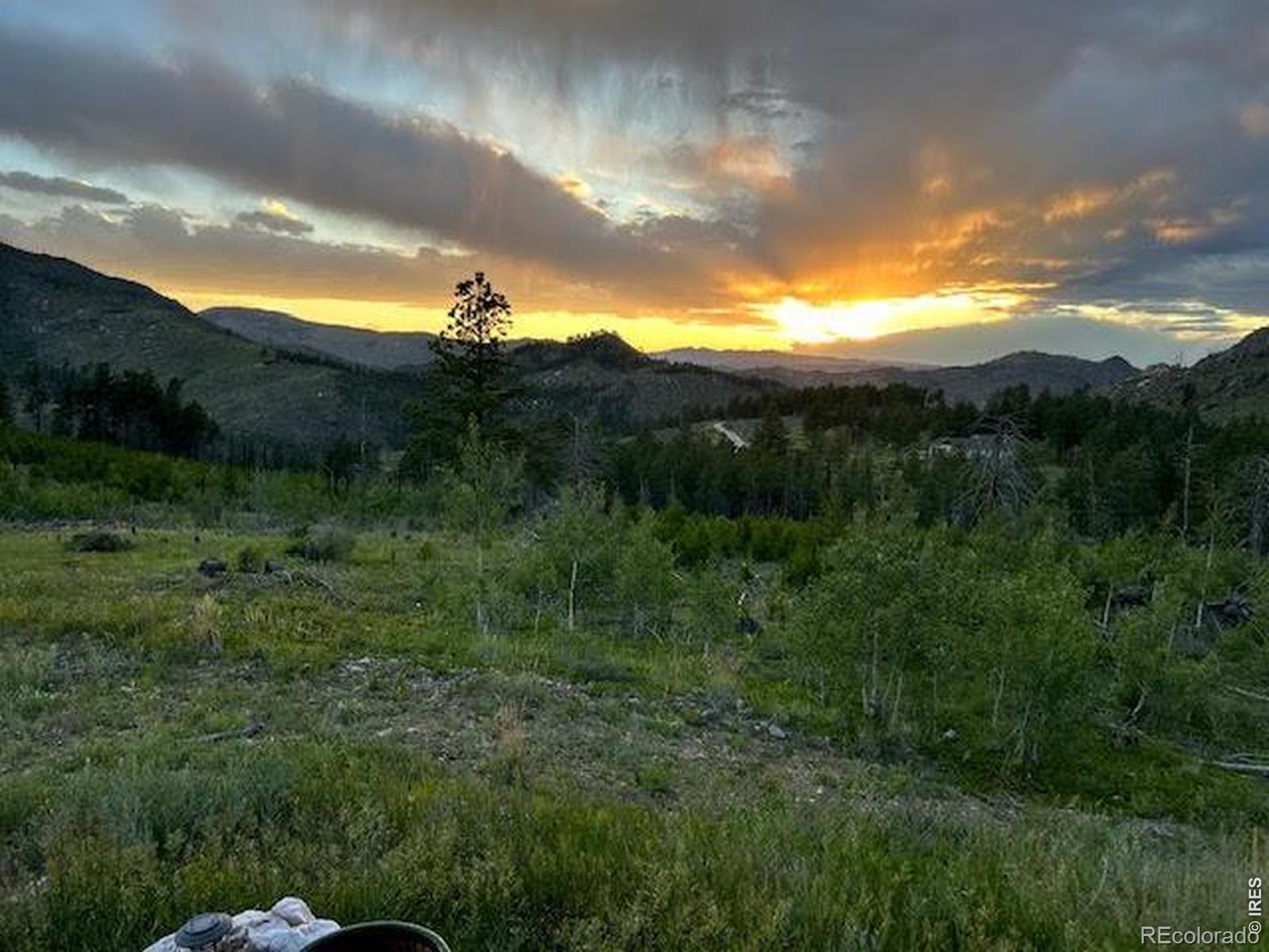 892 Stratton Park Road Bellvue CO 80512