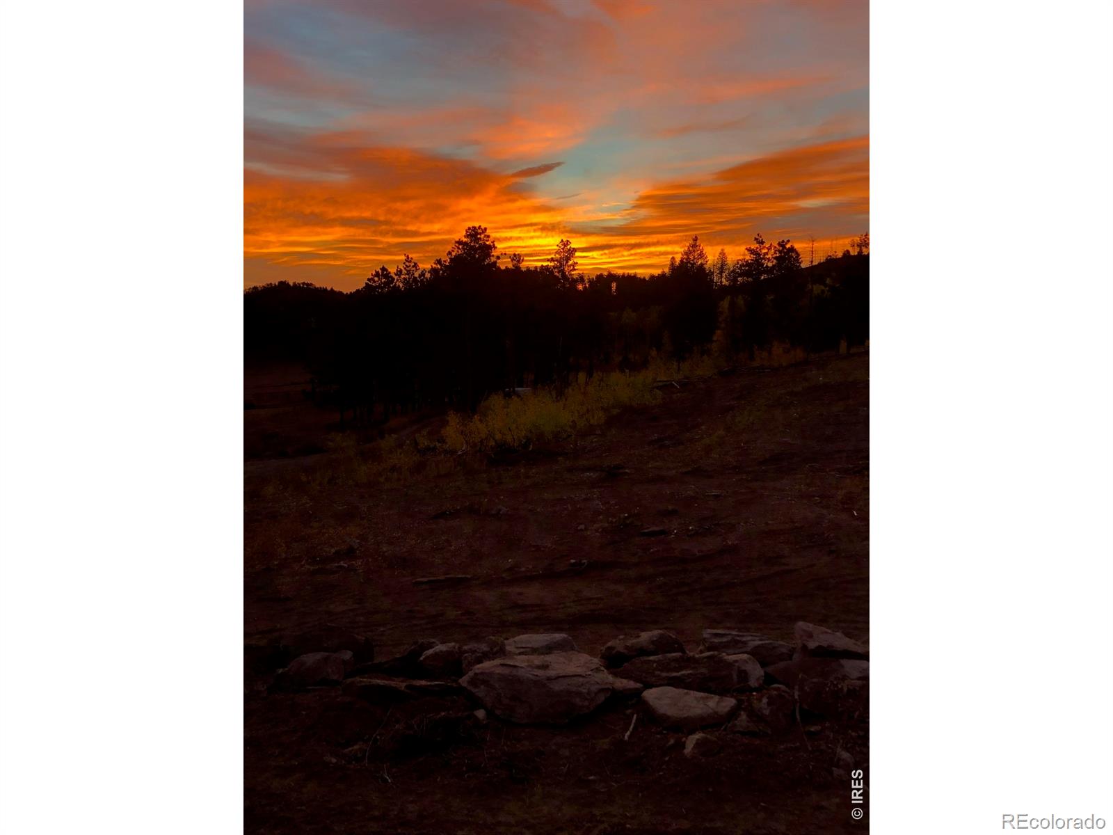 892 Stratton Park Road Bellvue CO 80512