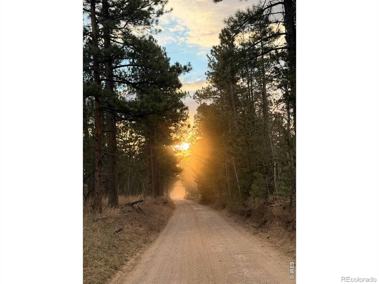 892 Stratton Park Road Bellvue CO 80512