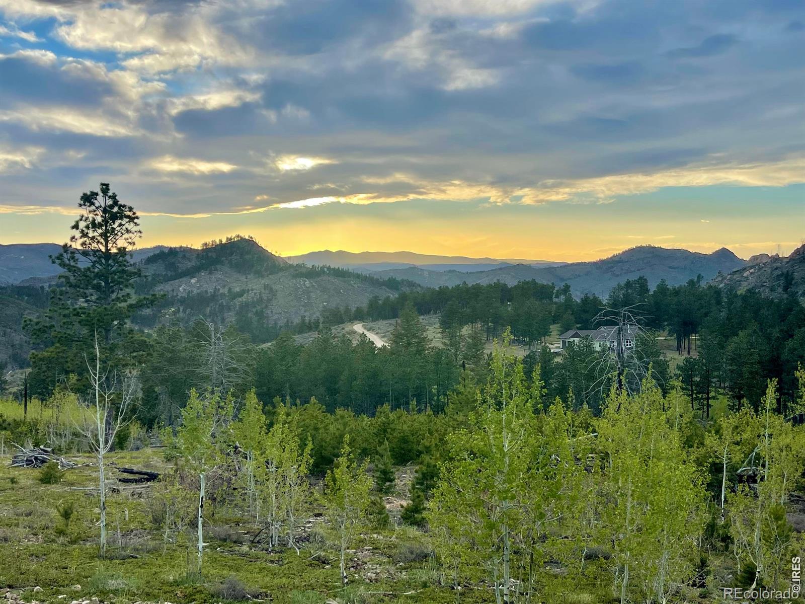 892 Stratton Park Road Bellvue CO 80512