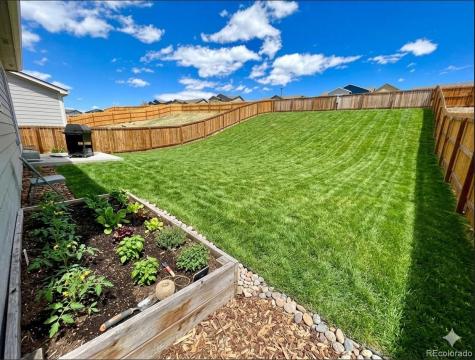 4897 Wolf Moon Drive Colorado Springs CO 80911