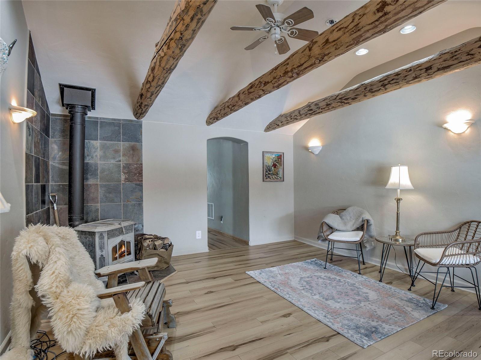 46 Singleton Road Alma CO 80420