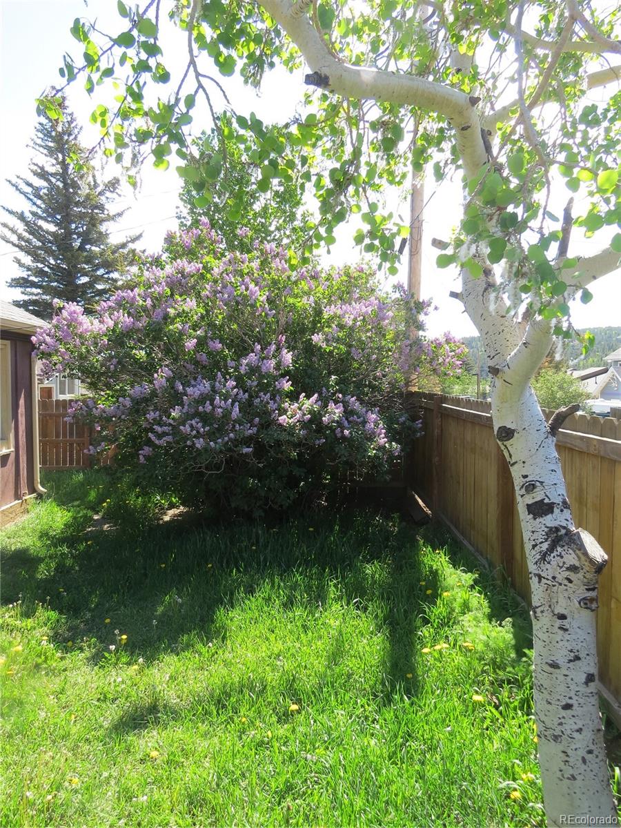 135 E 2nd Street Nederland CO 80466