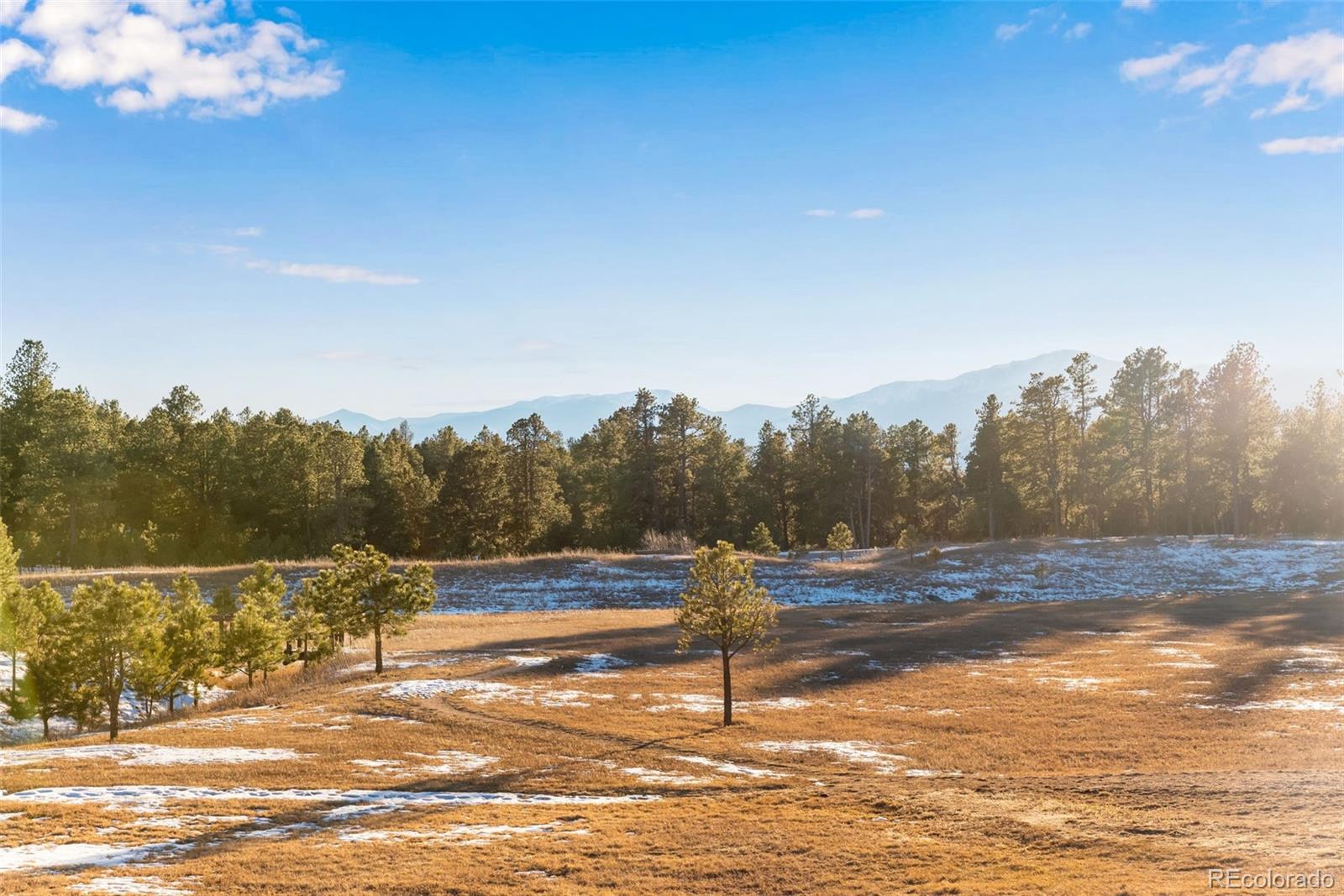 16075 Winding Trail Road Colorado Springs CO 80908