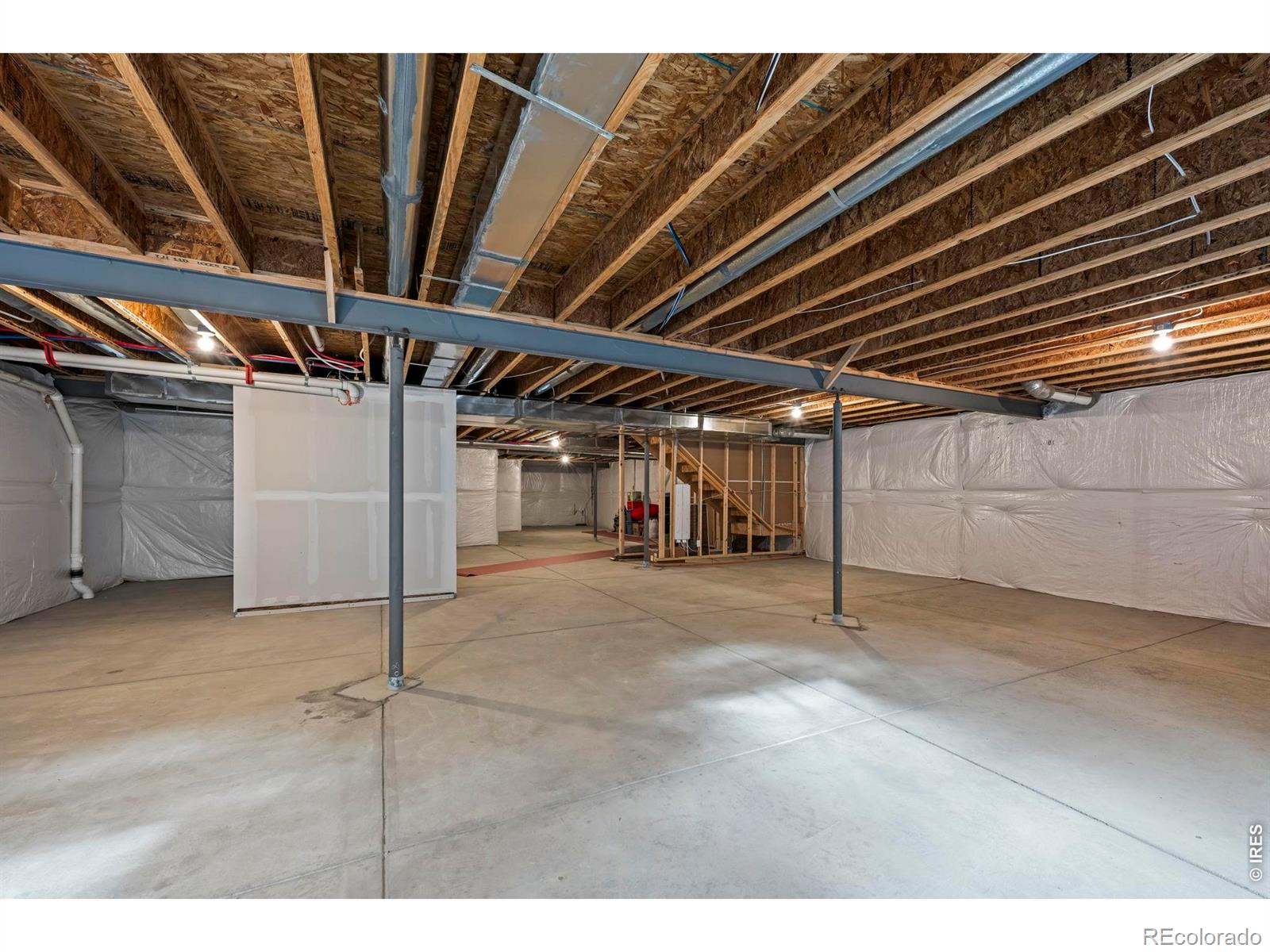 2381 Provenance Street Longmont CO 80504