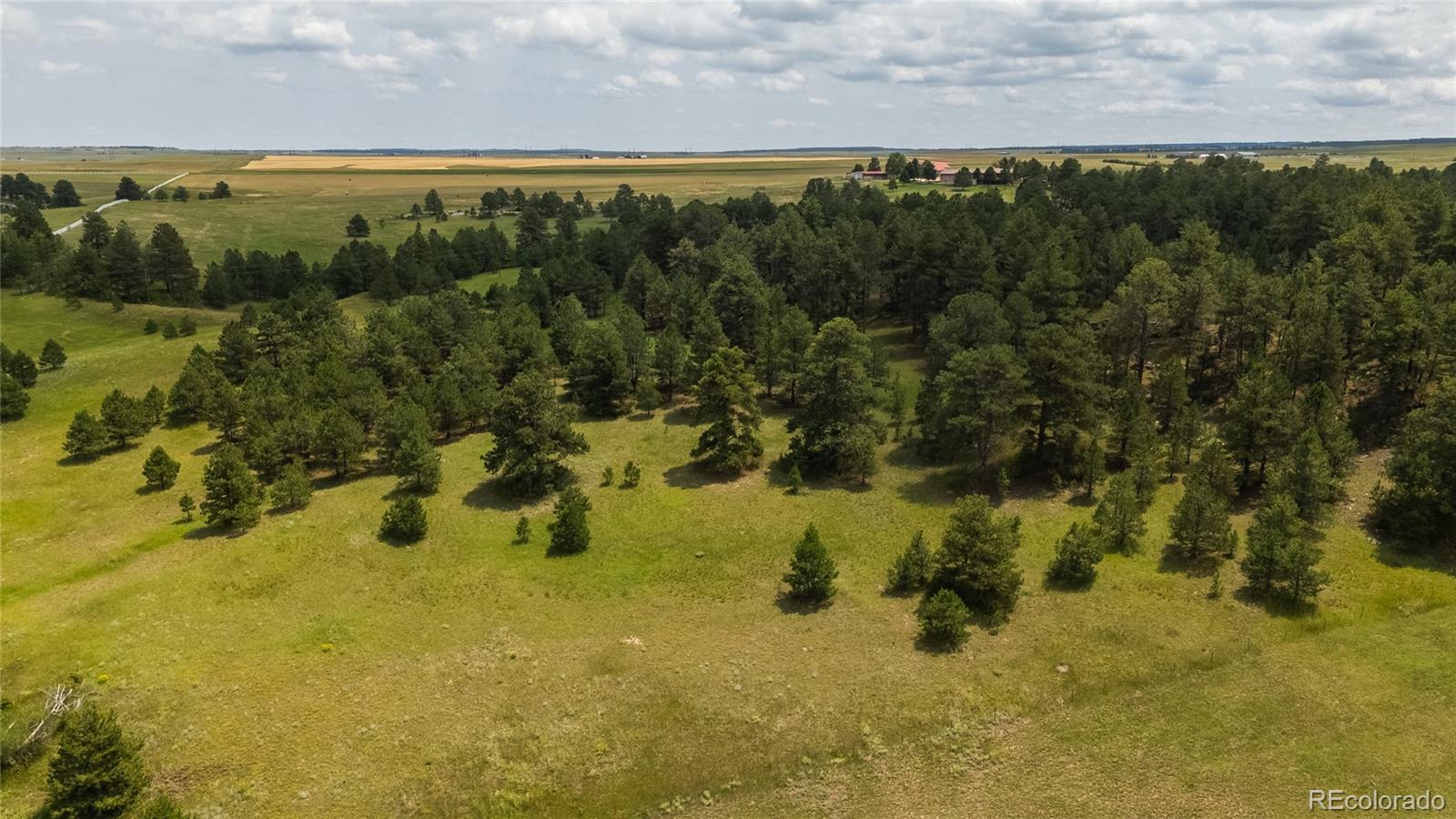 11771 E Smith Road Elbert CO 80106