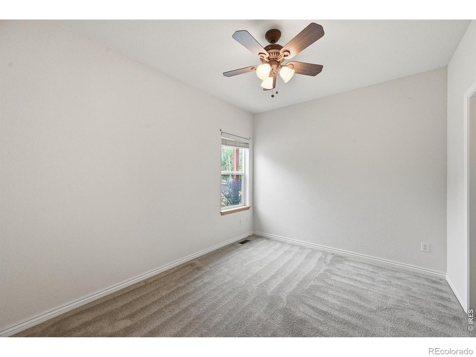 6937 Saddleback Avenue Firestone CO 80504