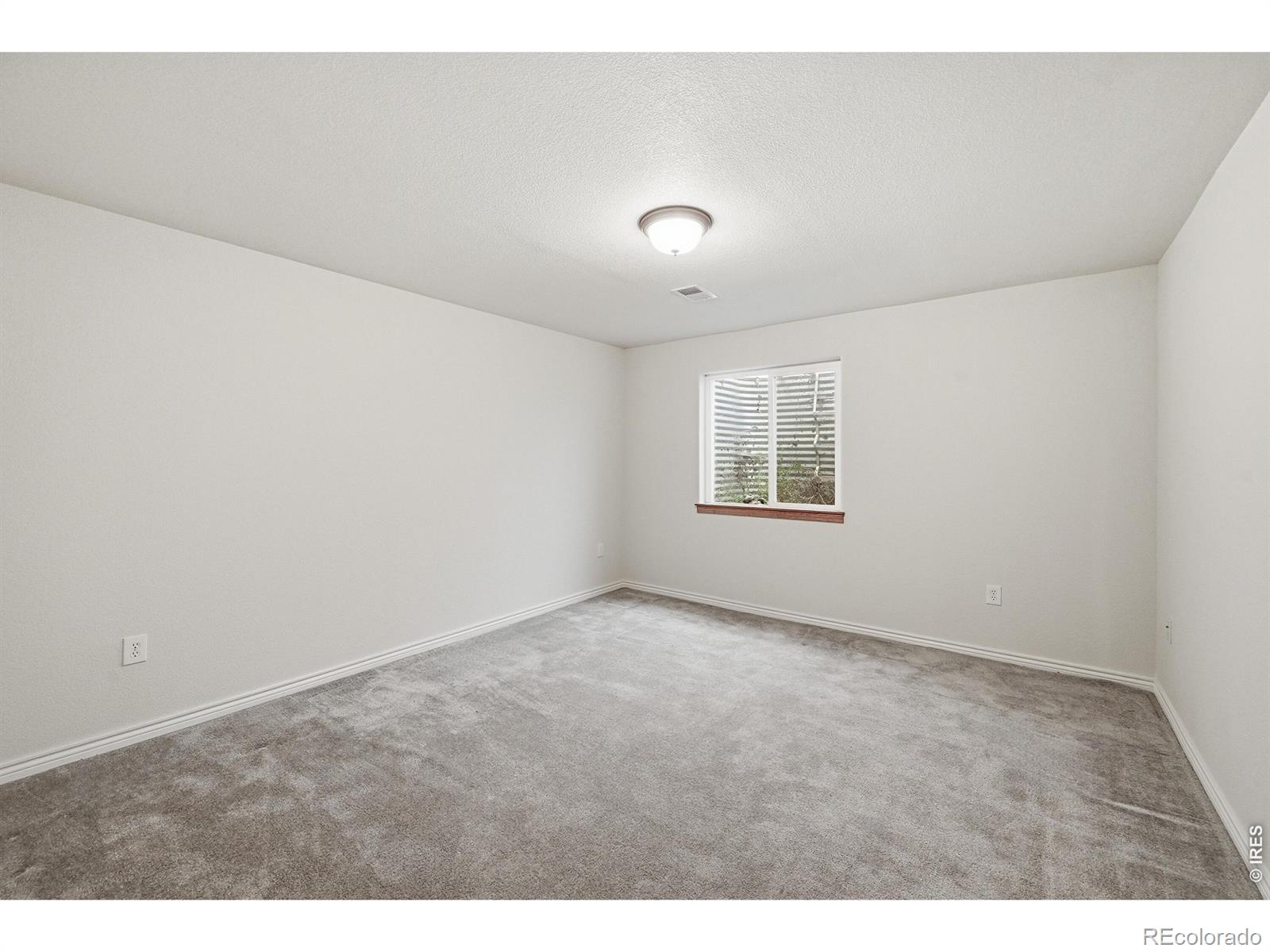 6937 Saddleback Avenue Firestone CO 80504