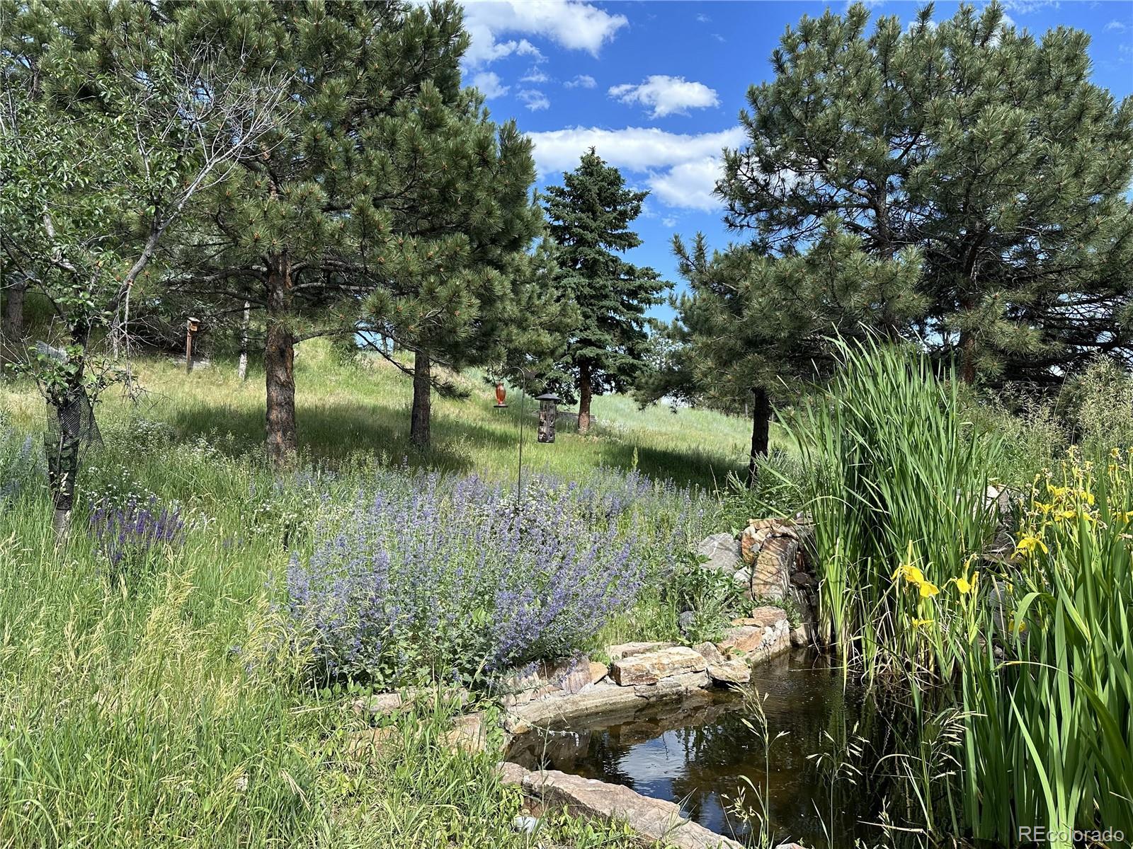 21946 Panorama Drive Golden CO 80401