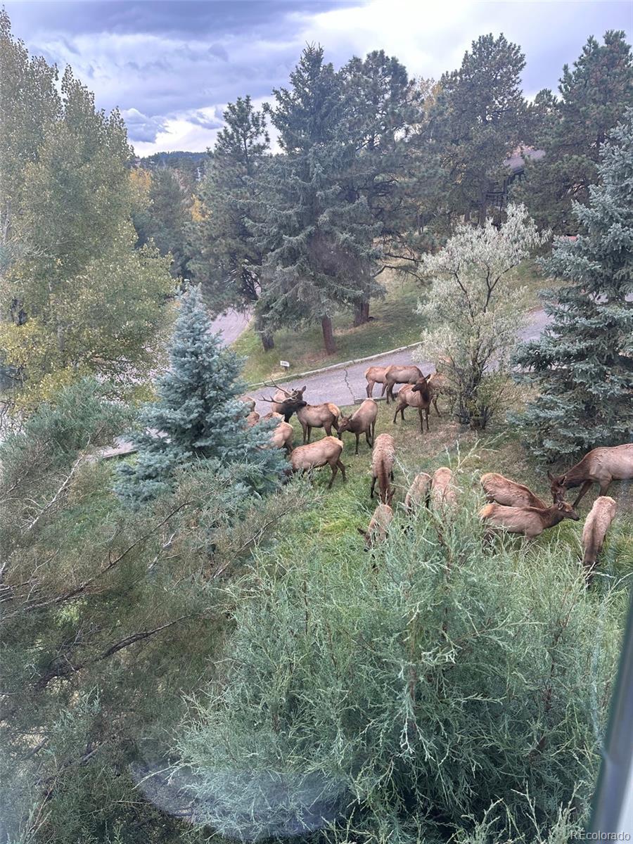 21946 Panorama Drive Golden CO 80401