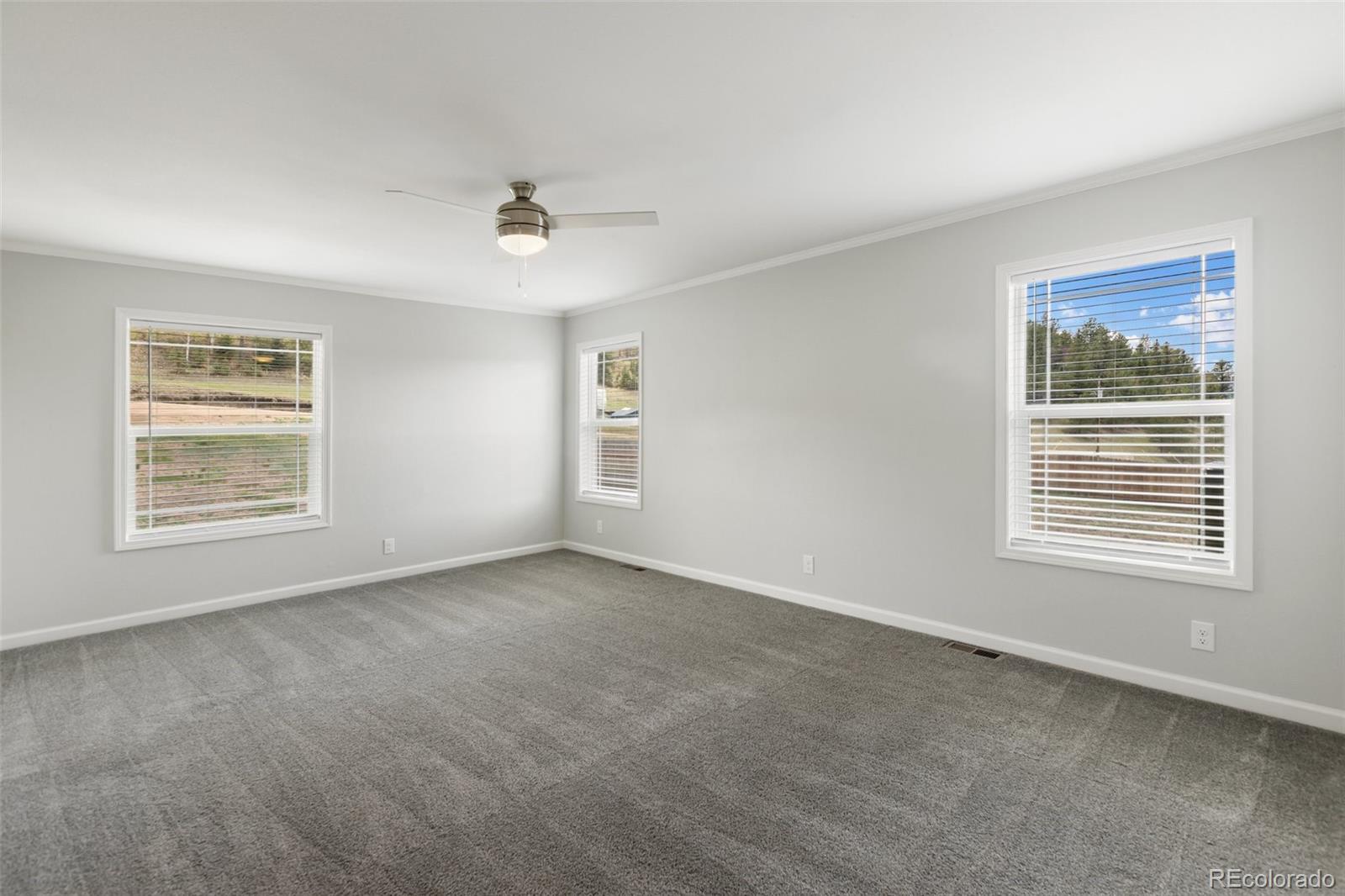 740 Crystal Peak Road Florissant CO 80816