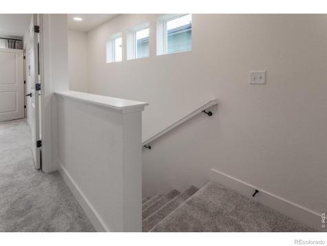 937 Trumpet Lane Windsor CO 80550