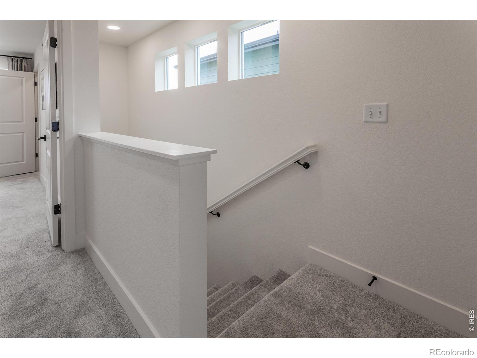 937 Trumpet Lane Windsor CO 80550