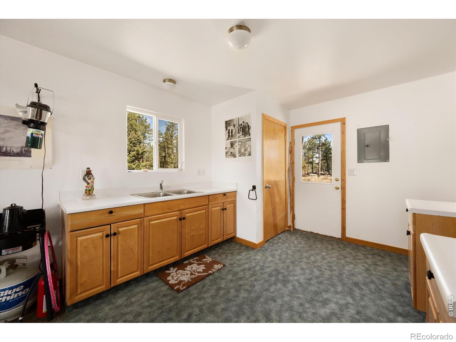 255 Elk Park Road Livermore CO 80536