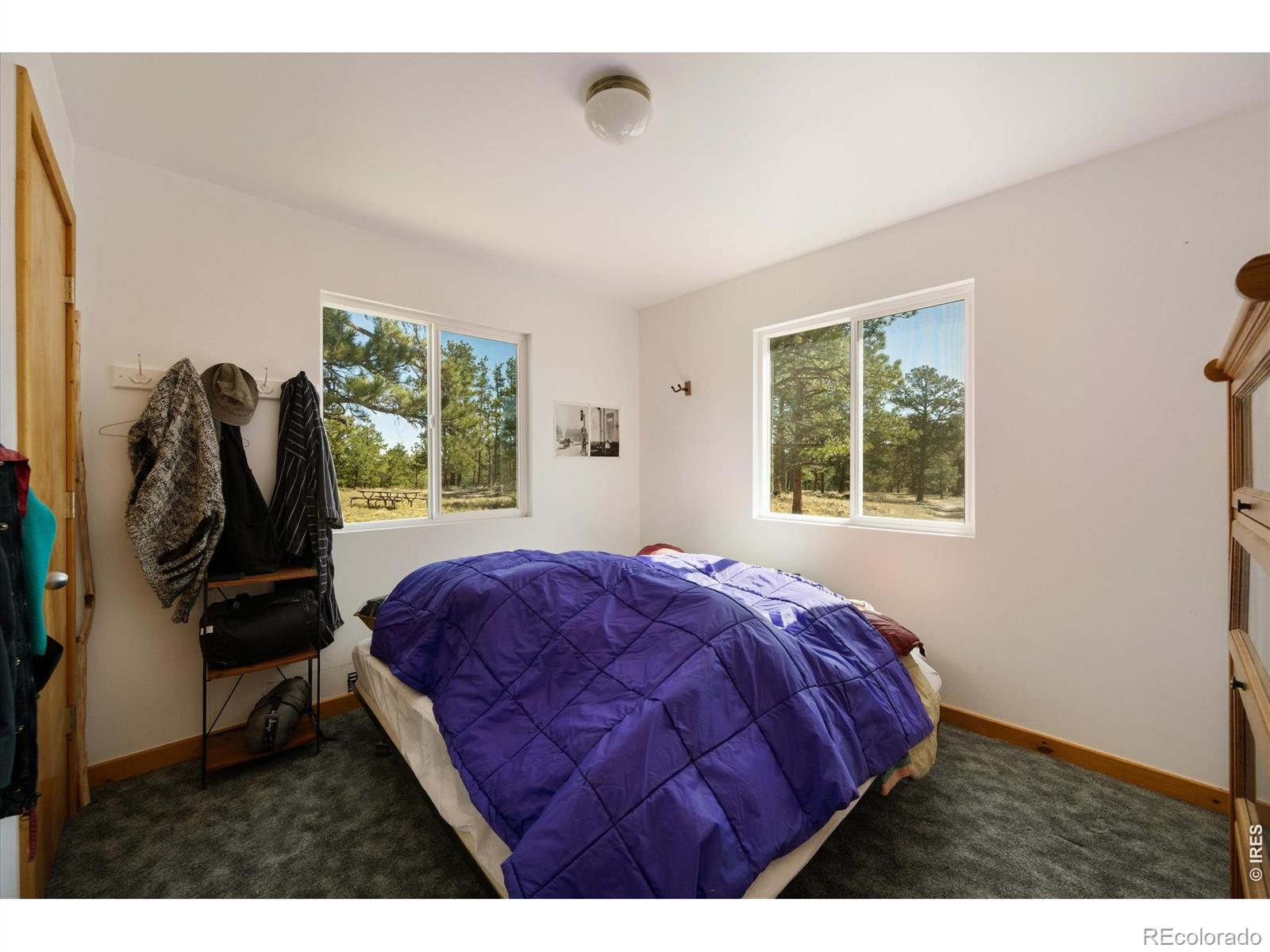 255 Elk Park Road Livermore CO 80536