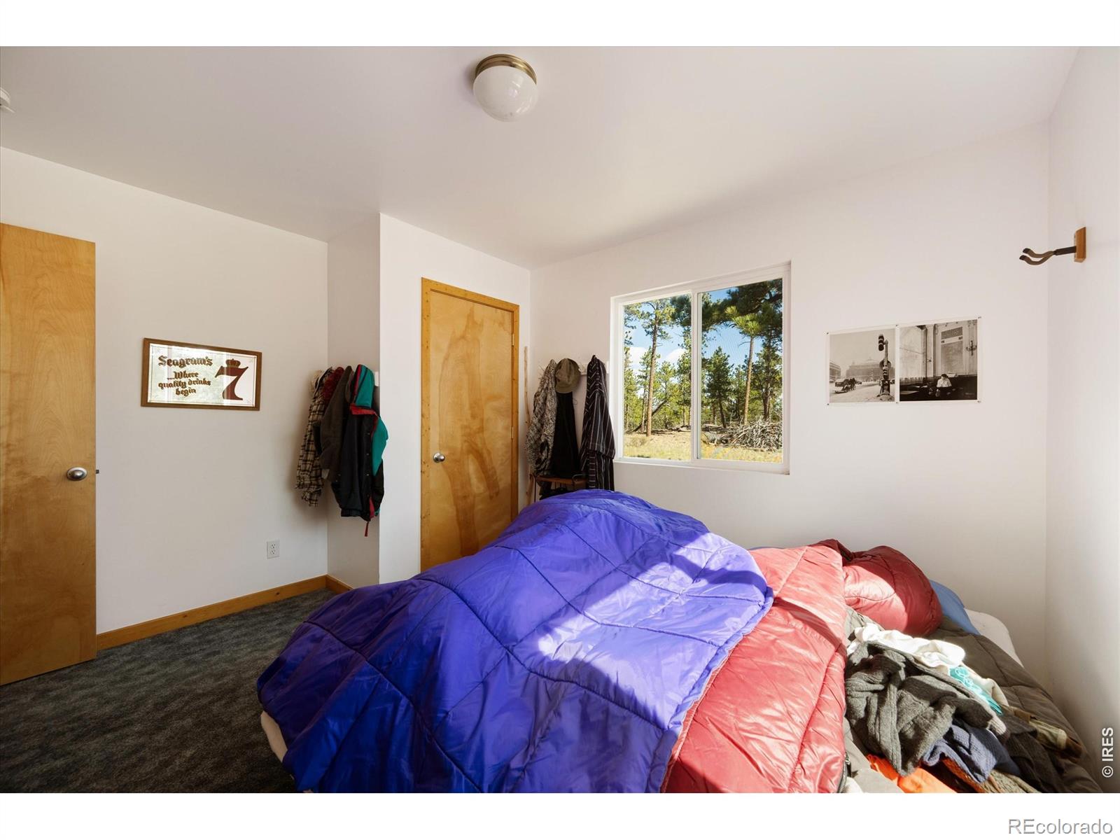 255 Elk Park Road Livermore CO 80536