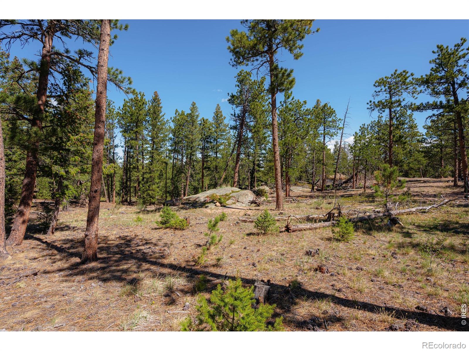 255 Elk Park Road Livermore CO 80536