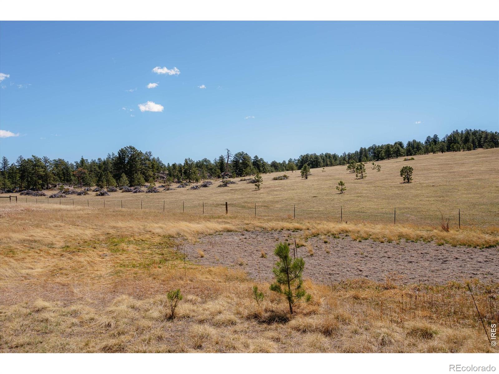 255 Elk Park Road Livermore CO 80536