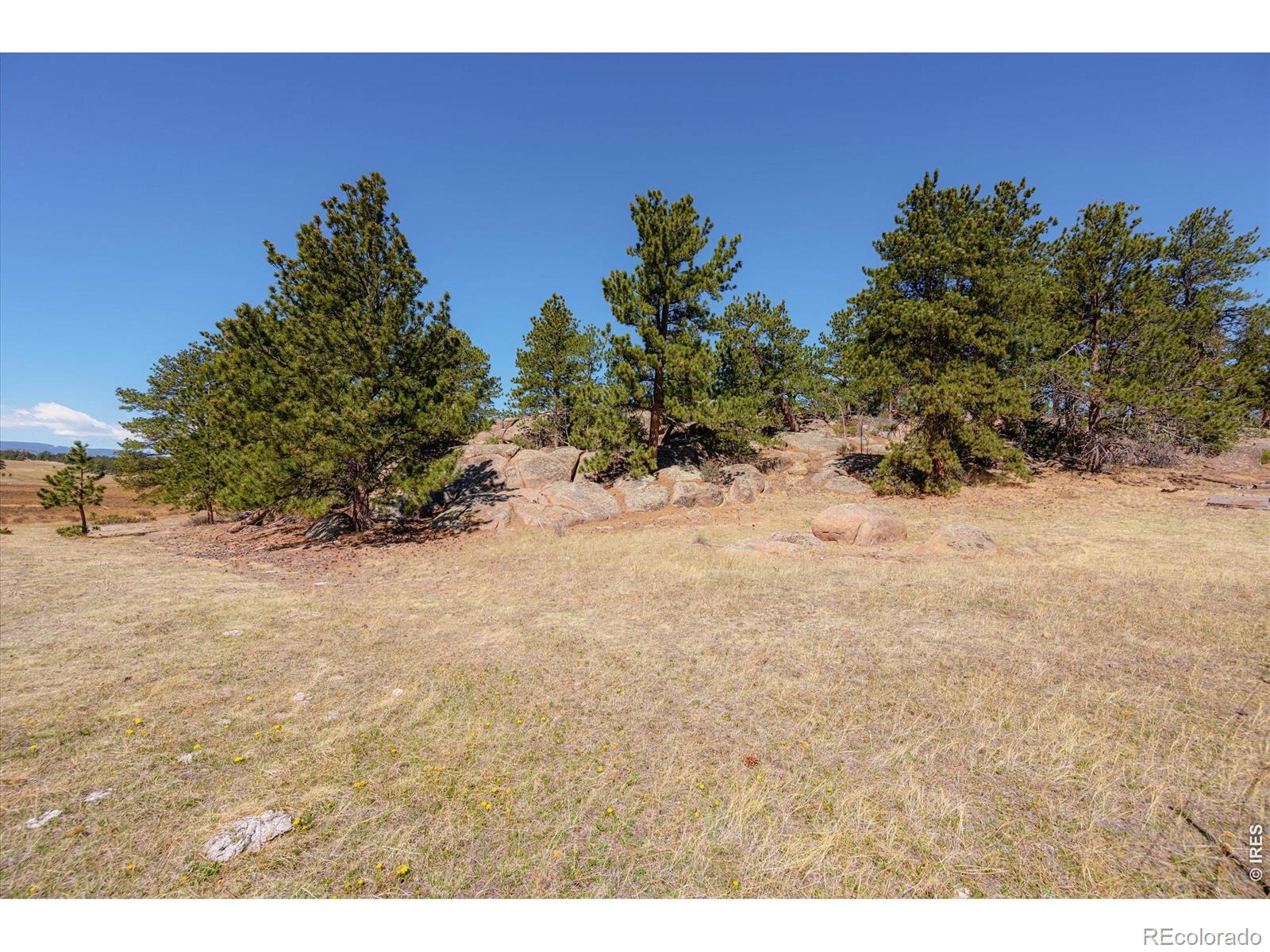 255 Elk Park Road Livermore CO 80536