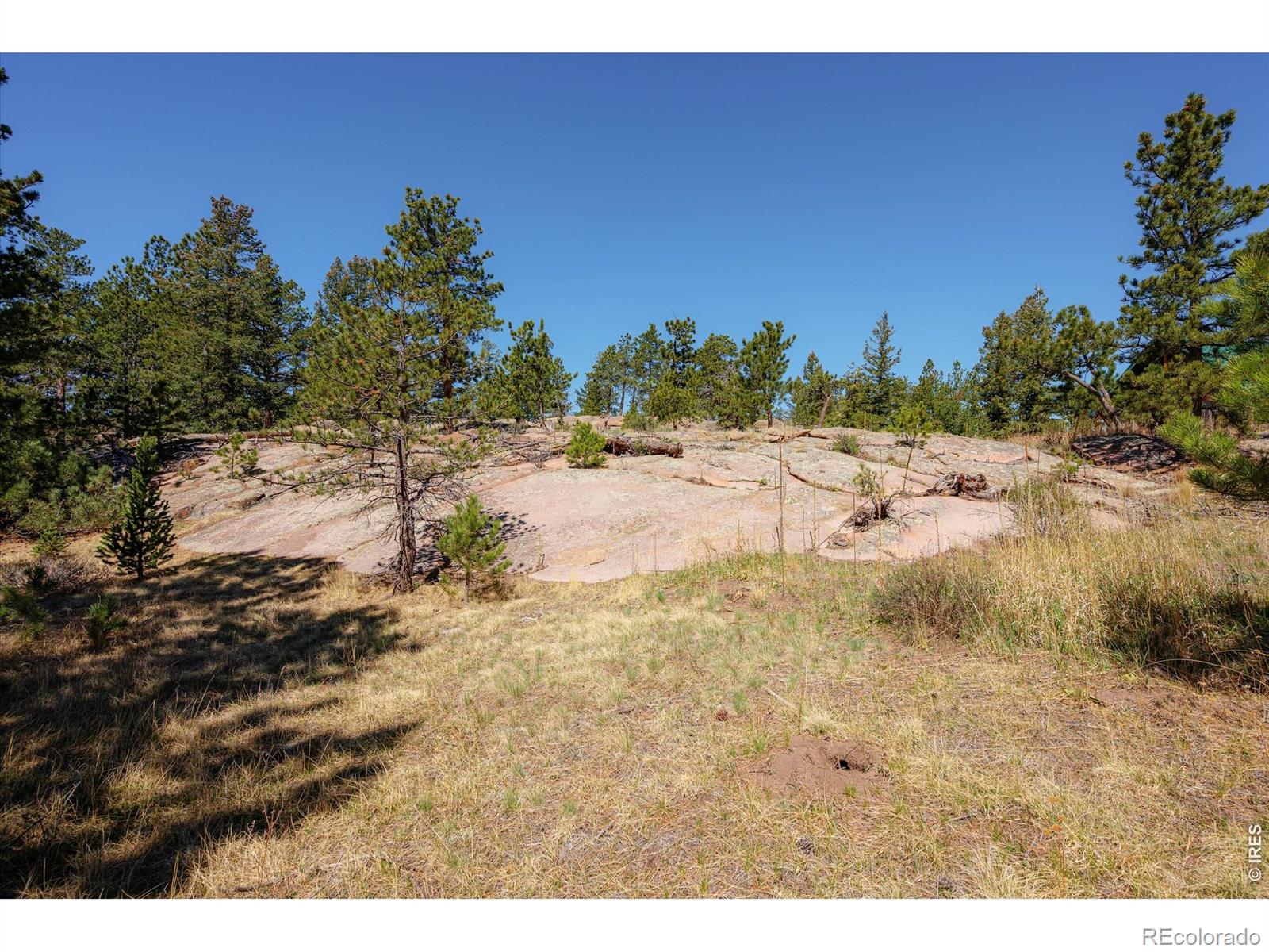 255 Elk Park Road Livermore CO 80536