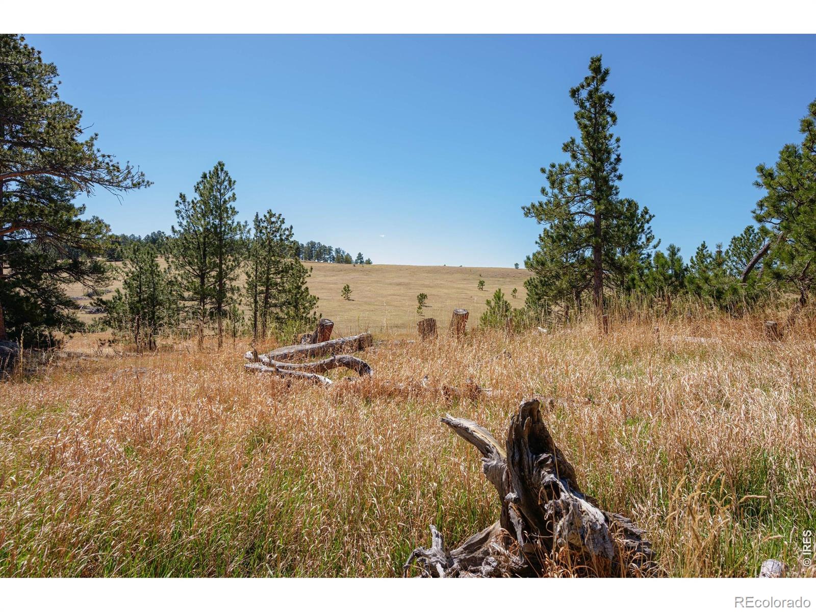 255 Elk Park Road Livermore CO 80536