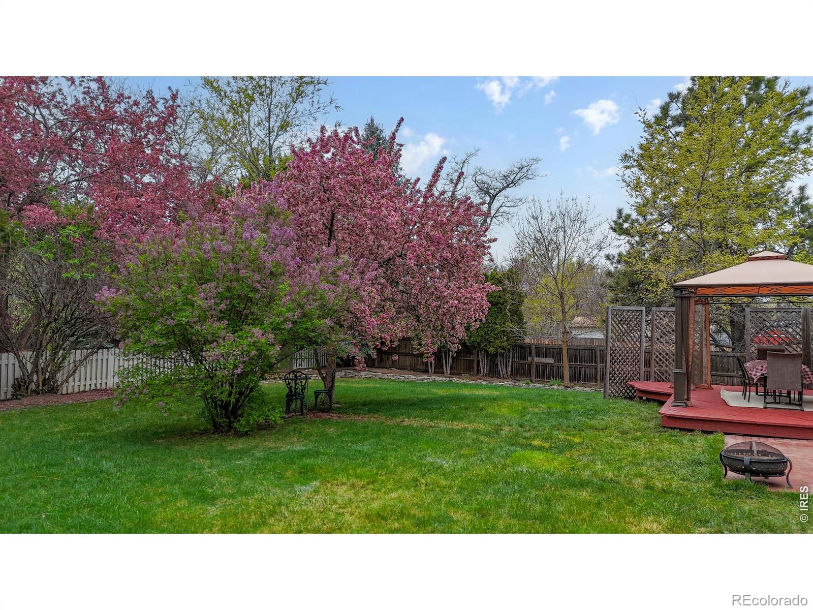 1101 Mansfield Drive Fort Collins CO 80525