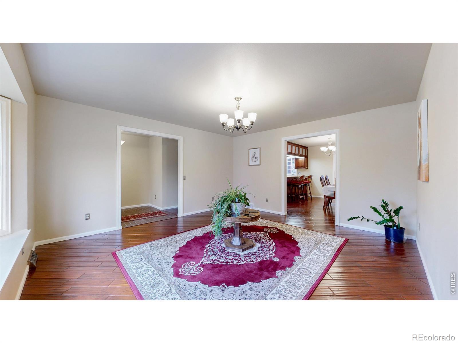 1101 Mansfield Drive Fort Collins CO 80525