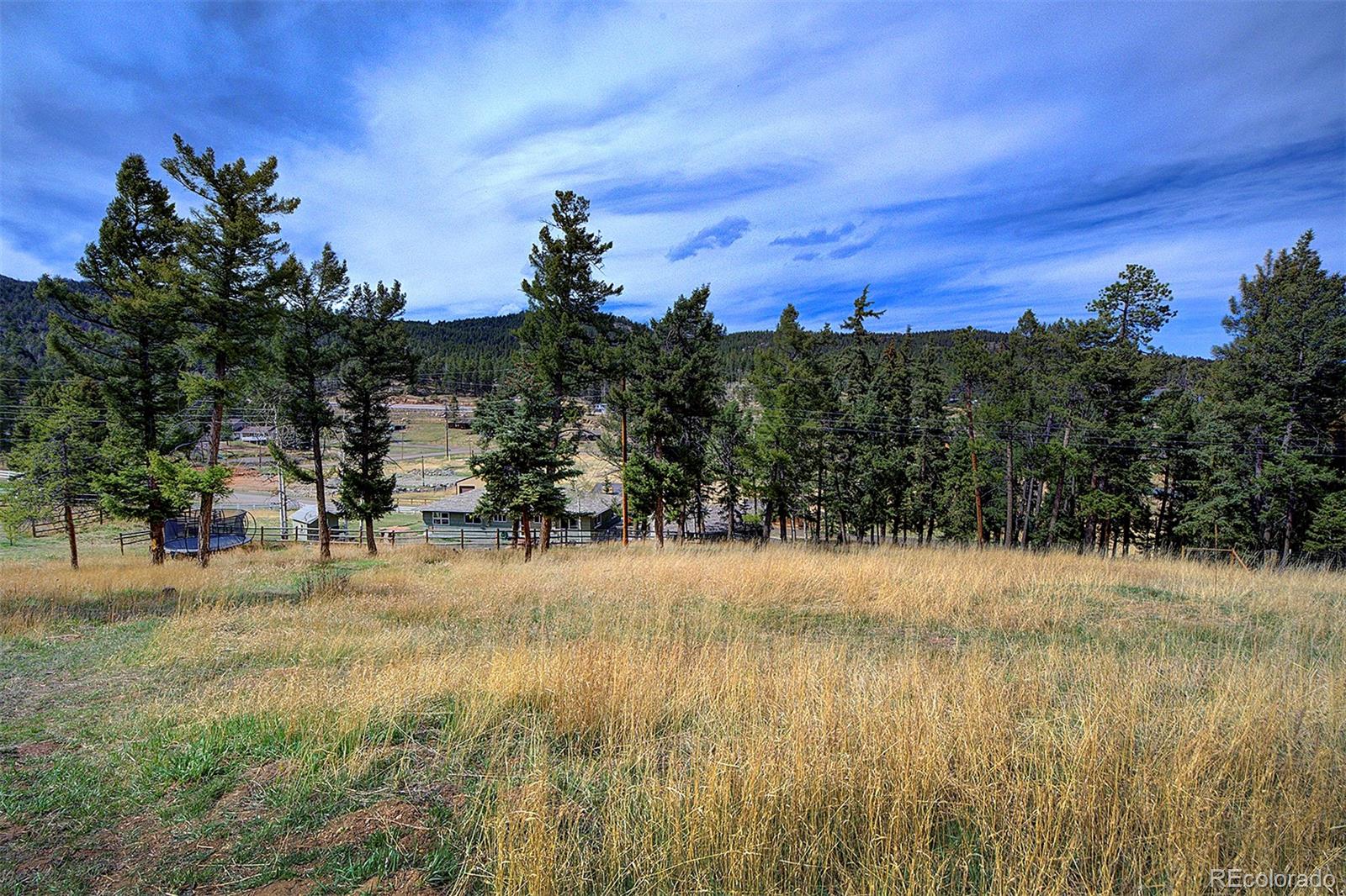28574 Columbine Drive Conifer CO 80433