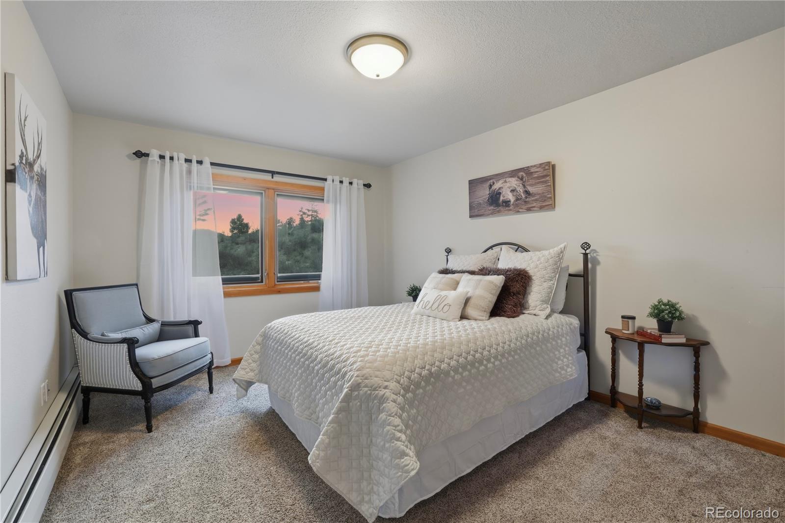 580 Sunny Glen Court Woodland Park CO 80863