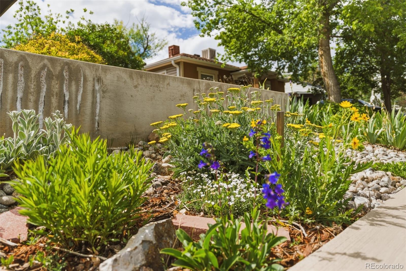1215 Rosemary Street Denver CO 80220