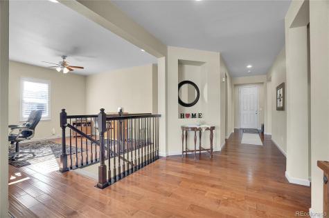 4439 Mcmurdo Court Castle Rock CO 80108