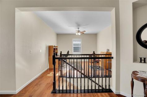 4439 Mcmurdo Court Castle Rock CO 80108