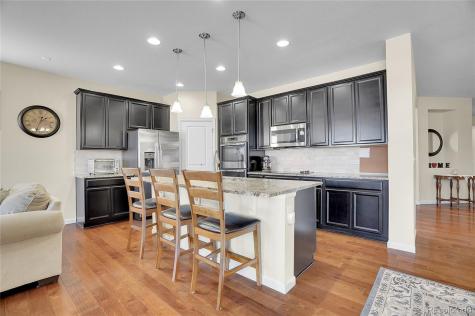 4439 Mcmurdo Court Castle Rock CO 80108